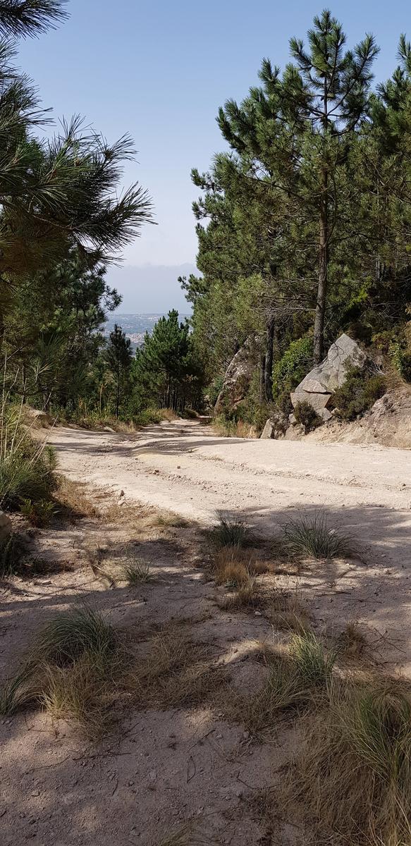 Pedra Amarela Viewpoint